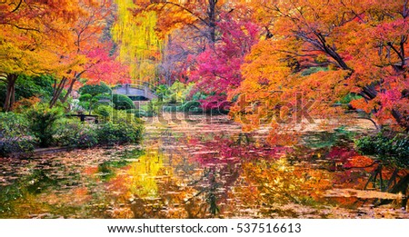 A burst of fall color with pond reflections