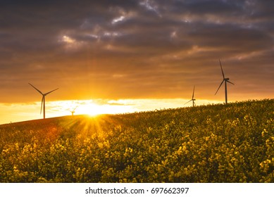 A Burst Of Sunlight Over A Wind Farm With Cultivated Canola Flower In Bloom