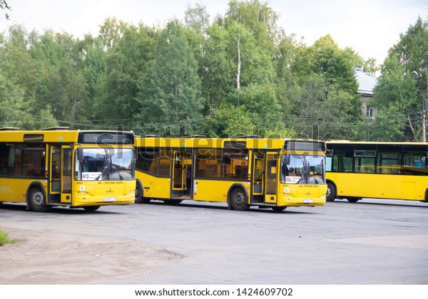 Bus depot. Yellow buses. Many buses. . Russia,\
Leningrad region July 14,\
2018