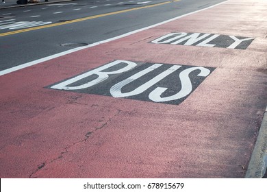 Bus lane in new york