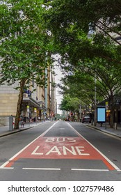 Bus Lane Sign In Sydney, Australia.