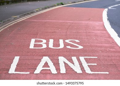 Bus lane sign text on road asphalt