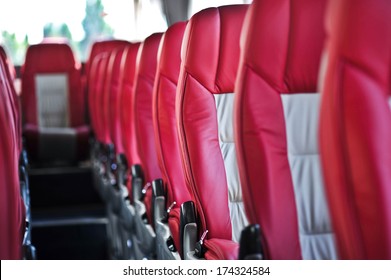 Bus Seat  Safety Belts