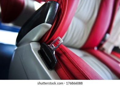 Bus Seat  Safety Belts