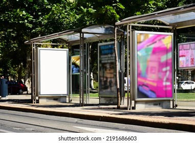 Bus Shelter With Empty White Ad Panel And Light Box. Urban Setting With Green Park. Billboard For Mock-up, Advertising Background. Place Holder Sample Image. Glass And Stainless Steel Structure.