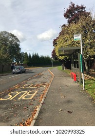 A Bus Stop In Uk