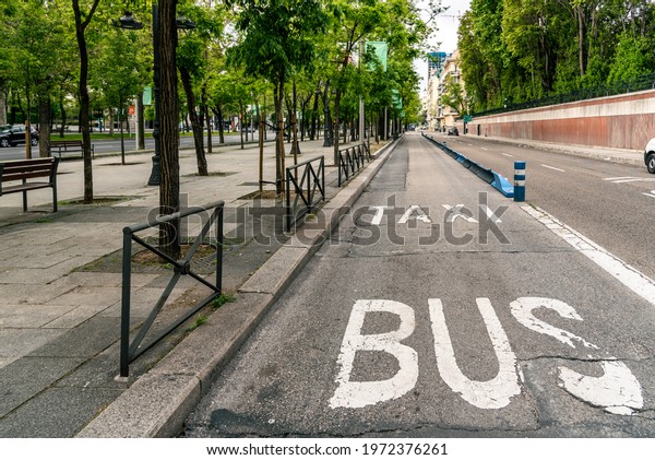 Bus and taxi sign painted on street.\
Taxi and Bus lane in Castellana Avenue in\
Madrid