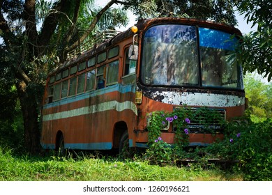 Bus Wreck Nature Scrap Metal Plants Stock Photo 1260196621 | Shutterstock