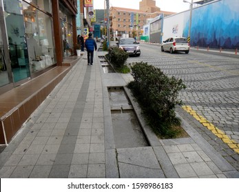 Busan, South Korea - November 25 2016: View Of A Bioswale On The Sidewalk