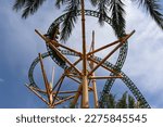 Busch Gardens Tampa Bay, roller coasters