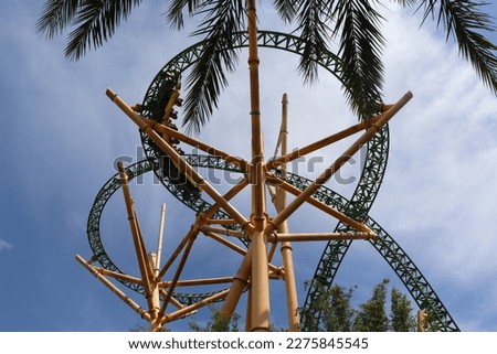 Busch Gardens Tampa Bay, roller coasters