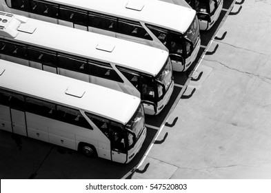 Buses