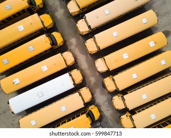 Buses Parked And Waiting For School