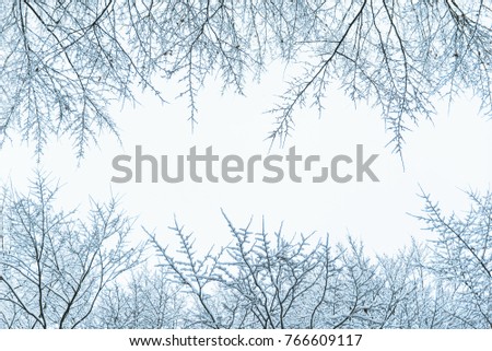 Similar – Image, Stock Photo powder forest Environment