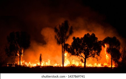 Bush Fire In Australian Outback