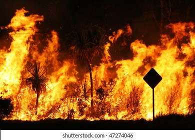 Bush Fire Close Up At Night