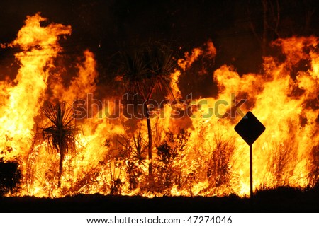 Bush fire close up at night