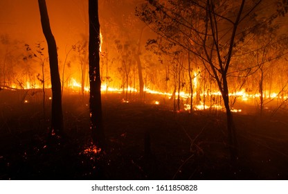 Bush Fire Danger In Australia