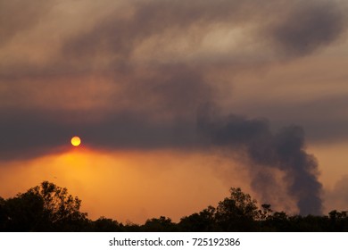 Bush Fire Risk, Outdoors, Natural Disasters, Fire Damage, Climate Change, Global Warming, Bushfire Appeal, Hot, Dramatic, Countryside, Bushfires Australia, Natural Disaster, Landscape, Trees, Blackene