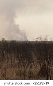 Bush Fire Risk, Outdoors, Natural Disasters, Fire Damage, Climate Change, Global Warming, Bushfire Appeal, Hot, Dramatic, Countryside, Bushfires Australia, Natural Disaster, Landscape, Trees, Blackene