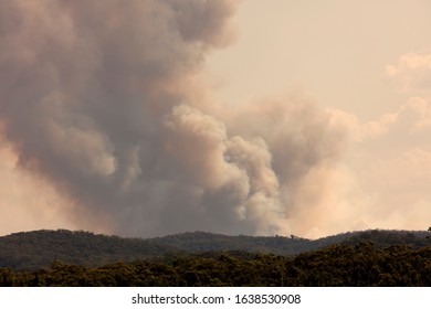 Bush Fire Smoke In A Valley In The Blue Mountains In Australia