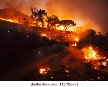 Bush Fire In Zimbabwe