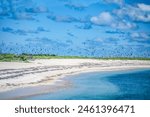 Bush Key with land bridge to Fort Jefferson on Dry Tortugas National Park with sooty terns and brown noddies nesting