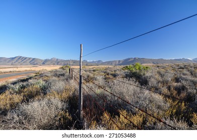 Bush Land Near Route 62 - Oudtshoorn, South Africa