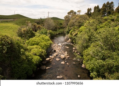 Bush lined stream