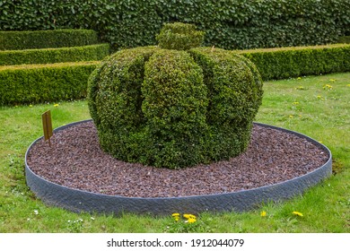 Bush Sculpture In Park - Durbuy Belgium - Nature Background