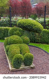 Bush Sculpture In Park - Durbuy Belgium - Nature Background