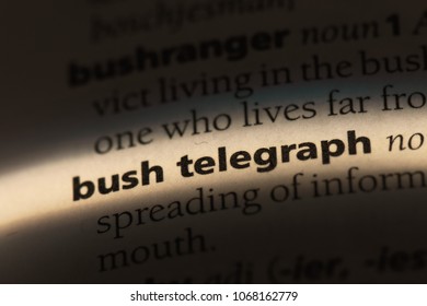 221 Bush Telegraph Images, Stock Photos & Vectors | Shutterstock