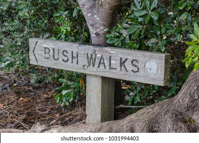 Bush Walk Signage  In Local Nature Reserve,  Auckland NZ 