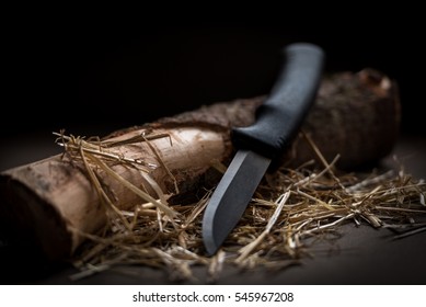 Bushcraft Survival Knife Best Friend In Forest