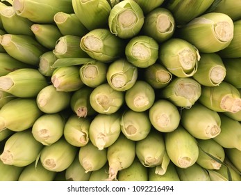 Bushel Of Corn