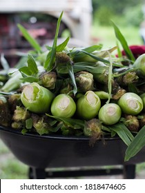 Bushel Of Corn In A Cart