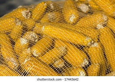 Bushel Of Organic Corn In A Bag