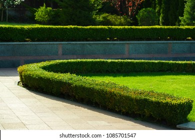 Bushes In The Landscape Design Of The House