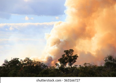 Bushfire In Australia