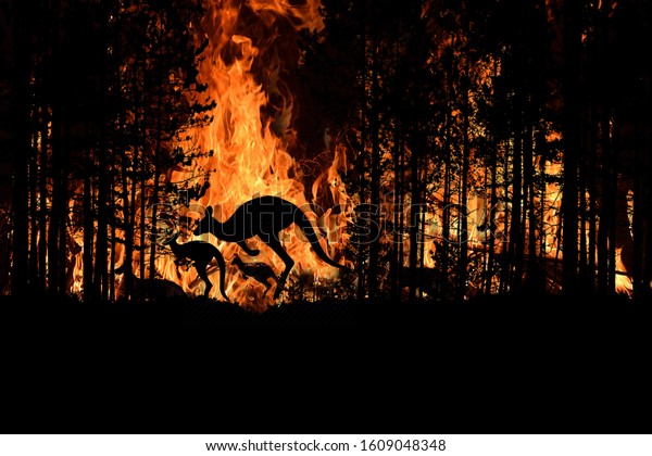Bushfire IN Australia Forest Many Kangaroos\
And Other Animals Running Escaping To Save Their Lives, Evacuation\
destroyed silhouette.
