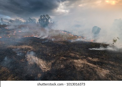 Bushfire, Burned Black Land On Hill In Australia