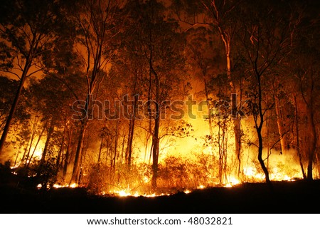 A bushfire burning orange and red at night.