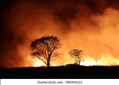 Bushfire Burning Orange And Red Smoke Filled The Sky At Night.