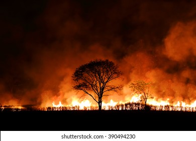 Bushfire Burning Orange And Red Smoke Filled The Sky At Night.