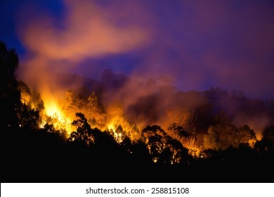 Bushfire At Night