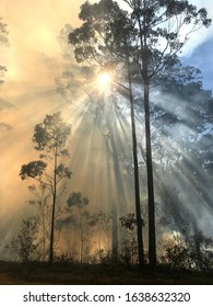 Bushfire Smoke Haze In Australia