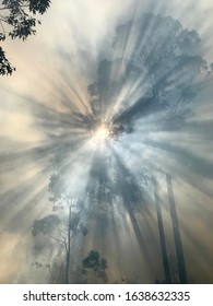 Bushfire Smoke Haze In Australia