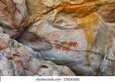 Höhlenmalereien von Bushman in Cederberg, Südafrika
