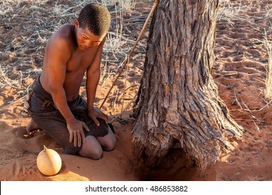 Bushman And An Ostrich Egg 