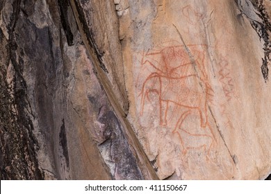 Bushman Rock Paintings Of Animals, Botswana